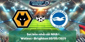 Soi kèo nhà cái NHA | Wolves - Brighton 10/05/2025