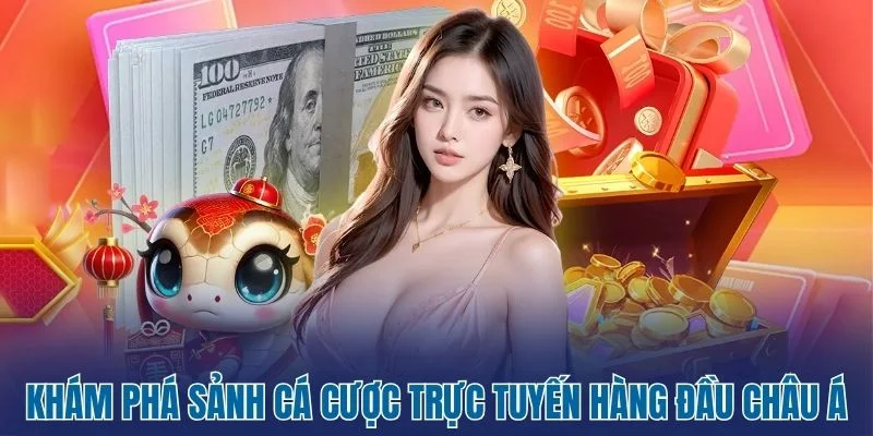 Tổng quan về thông tin nền tảng cá cược 9Win
