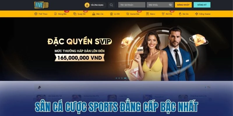 Sân cá cược sports đẳng cấp bậc nhất
