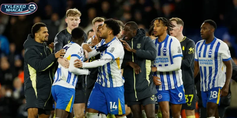 Thông tin, phong độ Brighton vs Everton