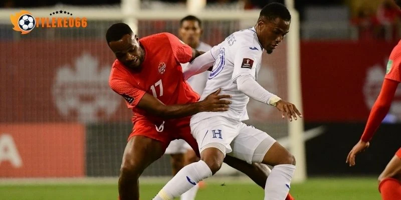 Sơ đồ dự kiến trận Canada vs Qatar